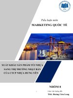 Tiểu luận môn MARKETING QUỐC TẾ