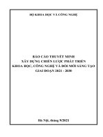 BÁO CÁO THUYẾT MINH XÂY DỰNG CHIẾN LƯỢC PHÁT TRIỂN KHOA HỌC, CÔNG NGHỆ VÀ ĐỔI MỚI SÁNG TẠO GIAI ĐOẠN 2021 - 2030