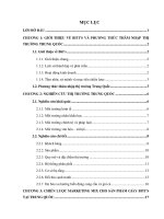 Chiến lược Marketing quốc tế của Công ty TNHH sản xuất hàng tiêu dùng Bình Tiên cho sản phẩm giày Biti’s tại thị trường Trung Quốc