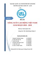 TIỂU LUẬN KINH TẾ PHÁT TRIỂN NĂNG SUẤT LAO ĐỘNG VIỆT NAM GIAI ĐOẠN 2010  2018