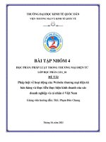 TIỂU LUẬN PHÁP LUẬT VỀ HOẠT ĐỘNG CỦA WEBSITE THƯƠNG MẠI ĐIỆN TỬ BÁN HÀNG VÀ THỰC TIỄN THỰC HIỆN KINH DOANH CỦA CÁC DOANH NGHIỆP VÀ CÁ NHÂN Ở VIỆT NAM