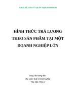 HÌNH THỨC TRẢ LƯƠNG THEO sản PHẨM của một DOANH NGHIỆP lớn