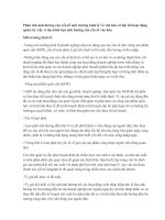 Phân tích ảnh hưởng của yếu tố môi trường kinh tế và văn hóa xã hội tới hoạt động quản trị, liên hệ thực tế