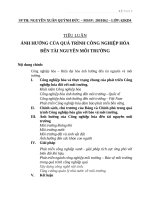 ẢNH HƯỞNG CỦA QUÁ TRÌNH CÔNG NGHIỆP HÓA ĐẾN TÀI NGUYÊN MÔI TRƯỜNG