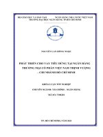 Phát triển cho vay tiêu dùng tại ngân hàng thương mại cổ phần việt nam thịnh vượng   chi nhánh hồ chí minh 