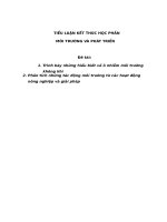 Tieu luan moi truong va phat trien