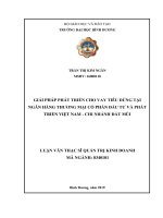 GIẢI PHÁP PHÁT TRIỂN CHO VAY TIÊU DÙNG tại NGÂN HÀNG THƯƠNG mại cổ PHẦN đầu tư và PHÁT TRIỂN VIỆT NAM   CHI NHÁNH đất mũ 