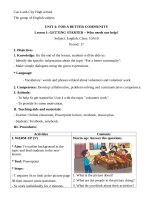 English 10  Unit 4  GETTING STARTED (lesson plan)