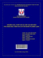 (Đồ án tốt nghiệp) nghiên cứu, thiết kế và chế tạo mô hình phủ nano bạc trên vải cotton bằng plasma lạnh 