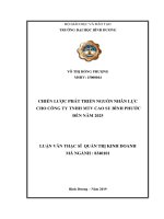 CHIẾN lược PHÁT TRIỂN NGUỒN NHÂN lực CHO CÔNG TY TNHH MTV CAO SU BÌNH PHƯỚC đến năm 2025 