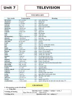 Bài tập chuyên sâu tiếng anh lớp 6 global success HKII