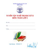 30 de thi ky 2 lop 8