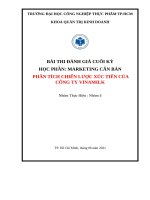 TIỂU LUẬN MARKETING CĂN BẢN PHÂN TÍCH CHIẾN LƯỢC XÚC TIẾN CỦA CÔNG TY VINAMILK