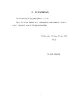 TÁC ĐỘNG của QUẢN TRỊ TRẢI NGHIỆM KHÁCH HÀNG đến LÒNG TRUNG THÀNH của KHÁCH HÀNG tại NGÂN HÀNG TMCP NGOẠI THƯƠNG VIỆT NAM CHI NHÁNH cà MAU 