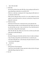 Bai 21 Phong trao yeu nuoc chong Phap cua nhan dan Viet Nam trong nhung nam cuoi the ki XIX tiet 2