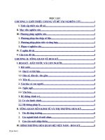 QUAN HỆ KINH TẾ GIỮA VIỆT NAM VÀ HOA KỲ GIAI ĐOẠN 2009  2019