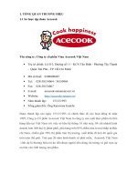 PHÂN TÍCH CHIẾN LƯỢC SẢN PHẨM CHO THƯƠNG HIỆU MÌ HẢO HẢO - ACECOOK VIỆT NAM