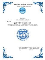 TIỂU LUẬNMÔN: TÀI CHÌNH QUỐC TẾ QUỸ TIỀN TỆ QUỐC TẾ INTERNATIONAL MONTERY FUND (IMF)