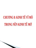 CHƯƠNG 8: KINH TẾ VĨ MÔ TRONG NỀN KINH TẾ MỞ