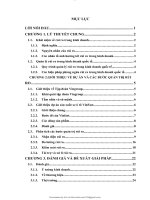 Quản trị rủi ro cho dự án sản xuất ô tô VinFast của tập đoàn Vingroup