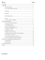 Quản Trị Chiến Lược đề tài Lập chiến lược kinh doanh mới cho chuỗi Brain Station Coffee