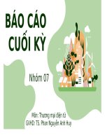 TIỂU LUẬN THƯƠNG MẠI ĐIỆN TỬ SẢN PHẨM TÚI BẢO VỆ MÔI TRƯỜNG