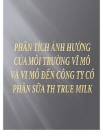 TIỂU LUẬN PHÂN TÍCH ẢNH HƯỞNG CỦA MÔI TRƯỜNG VĨ MÔ VÀ VI MÔ ĐẾN CÔNG TY CỔ PHẦN SỮA TH TRUE MILK