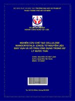 (Đồ án tốt nghiệp) NGHIÊN cứu CHẾ tạo CELLULOSE NANOCRYSTALS  (CNCS) từ NGUYÊN LIỆU GIẤY vụn và vỏ TRẤU ỨNG DỤNG TRONG xử lý nước THẢI 