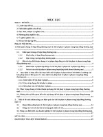 Tiểu luận luật thương mại