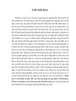 Phân tích cơ sở lý luận và thực tiễn của việc xây dựng các quy định về bồi thường, hỗ trợ và tái định cư khi Nhà nước thu hồi đất ở nước ta