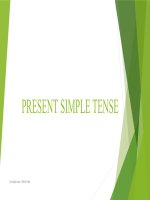 Bai giang Present Simple Tense