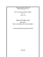 Báo cáo thực tập định hướng nghề nghiệp 2