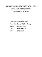 BÀI TIỂU LUẬN kết THÚC học PHẦN kỹ NĂNG làm VIỆC NHÓM 