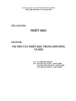 Tiểu luận triết học tổng quan ( Chương trình nâng cao triết hoc mác lê nin hệ thạc sỹ)