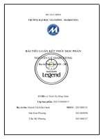 Phân tích chiến lược phân phối của công ty trung nguyên legend