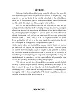 Xac dinh dong phan hinh hoc bang phuong phap vat ly