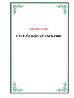 BÀI TIỂU LUẬN COCACOLA