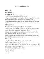 Giáo án ôn tập và kiểm tra cuối kì 1 ngữ văn 6, sách kết nối tri thức với cuộc sống (có ma trận đề, đáp án)