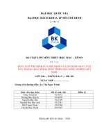 QUY LUẬT PHỦ ĐỊNH của PHỦ ĐỊNH và vận DỤNG QUY LUẬT này TRONG HOẠT ĐỘNG PHÁT TRIỂN nền NÔNG NGHIỆP VIỆT NAM  