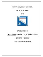 Tiểu luận Bài tập nhóm CHIẾN LƯỢCPHÁT TRIỂN KINH TẾ XÃ ỘI Trường đại học kinh tế đà nẵng