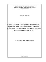 Nghiên cứu chế tạo vật liệu zno pha tạp co cố định trên tro trấu làm chất quang xúc tác phân hủy phẩm màu hữu cơ dưới ánh sáng nhìn thấy 