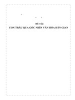 CON TRÂU QUA GÓC NHÌN VĂN HÓA DÂN GIAN