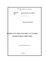 NGHIÊN cứu TÍNH CHẤT điện từ của một số PEROVSKITE NHIỆT điện 