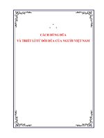 CÁCH DÙNG ĐŨA VÀ TRIẾT LÍ TỪ ĐÔI ĐŨA CỦA NGƯỜI VIỆT NAM