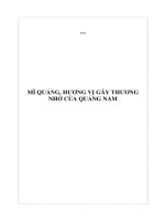 MÌ QUẢNG, HƯƠNG VỊ GÂY THƯƠNG NHỚ CỦA QUẢNG NAM