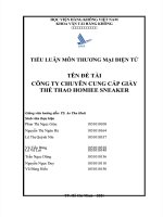 tiêu luâṇ môn thương mại điện tử đề tài công ty chuyên cung cấp giày thê thao homiee sneaker 