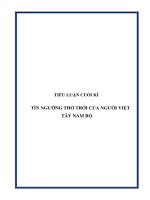 TÍN NGƯỠNG THỜ TRỜI CỦA NGƯỜI VIỆT TÂY NAM BỘ