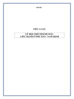 LỄ HỘI THỜ THÁNH MẪU  LIỄU HẠNH Ở PHỦ DẦY NAM ĐỊNH