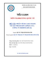 TIỂU LUẬN môn MARKETING QUỐC tế đề tài phân tích case study về sản phẩm son lipice của công ty rohto (số 22) 