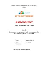 ỨNG DỤNG MARKETING NỘI DUNG CHO SỮA MILO CỦA TẬP ĐOÀN NESTLÉ